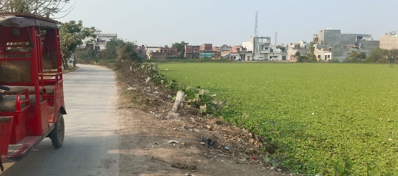 मैगलगंज में हाईवे किनारे तालाब, जहां नहीं हैं सुरक्षा के कोई इंतजाम। संवाद