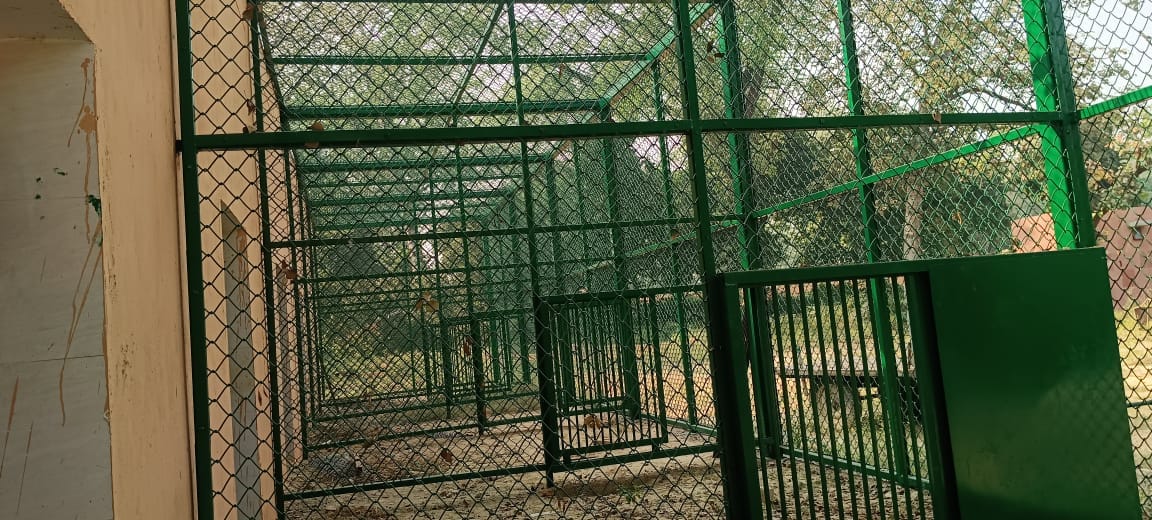 हस्तिनापुर में बन रहा वन्यजीवों के लिए रेस्क्यू सेंटर स्रोत विभाग हस्तिनापुर में बन रहा वन्यजीवों के लिए रेस्क्यू सेंटर स्रोत विभाग