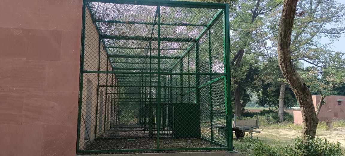 हस्तिनापुर में बन रहा वन्यजीवों के लिए रेस्क्यू सेंटर स्रोत विभाग हस्तिनापुर में बन रहा वन्यजीवों के लिए रेस्क्यू सेंटर स्रोत विभाग