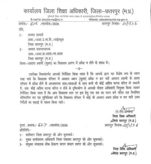 अब छतरपुर के स्कूलों में आवारा कुत्तों पर कड़ी रोक, नोडल अधिकारी और निगरानी दल बनाए जाएंगे..
