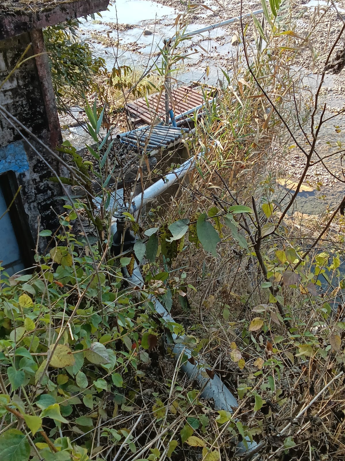 जनसूह में बनाई सिंचाई योजना के तहत टैंक पाइप से पानी नहीं आ रहा। स्रोत : जागरूक पाठक। जनसूह में बनाई सिंचाई योजना के तहत टैंक पाइप से पानी नहीं आ रहा। स्रोत : जागरूक पाठक।