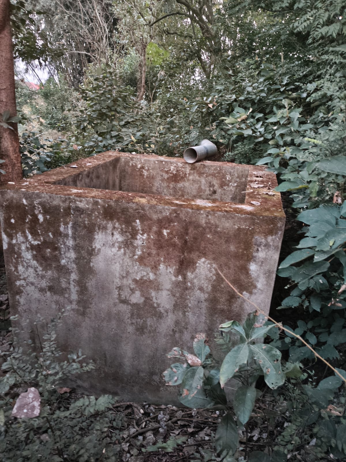 जनसूह में बनाई सिंचाई योजना के तहत टैंक पाइप से पानी नहीं आ रहा। स्रोत : जागरूक पाठक। जनसूह में बनाई सिंचाई योजना के तहत टैंक पाइप से पानी नहीं आ रहा। स्रोत : जागरूक पाठक।