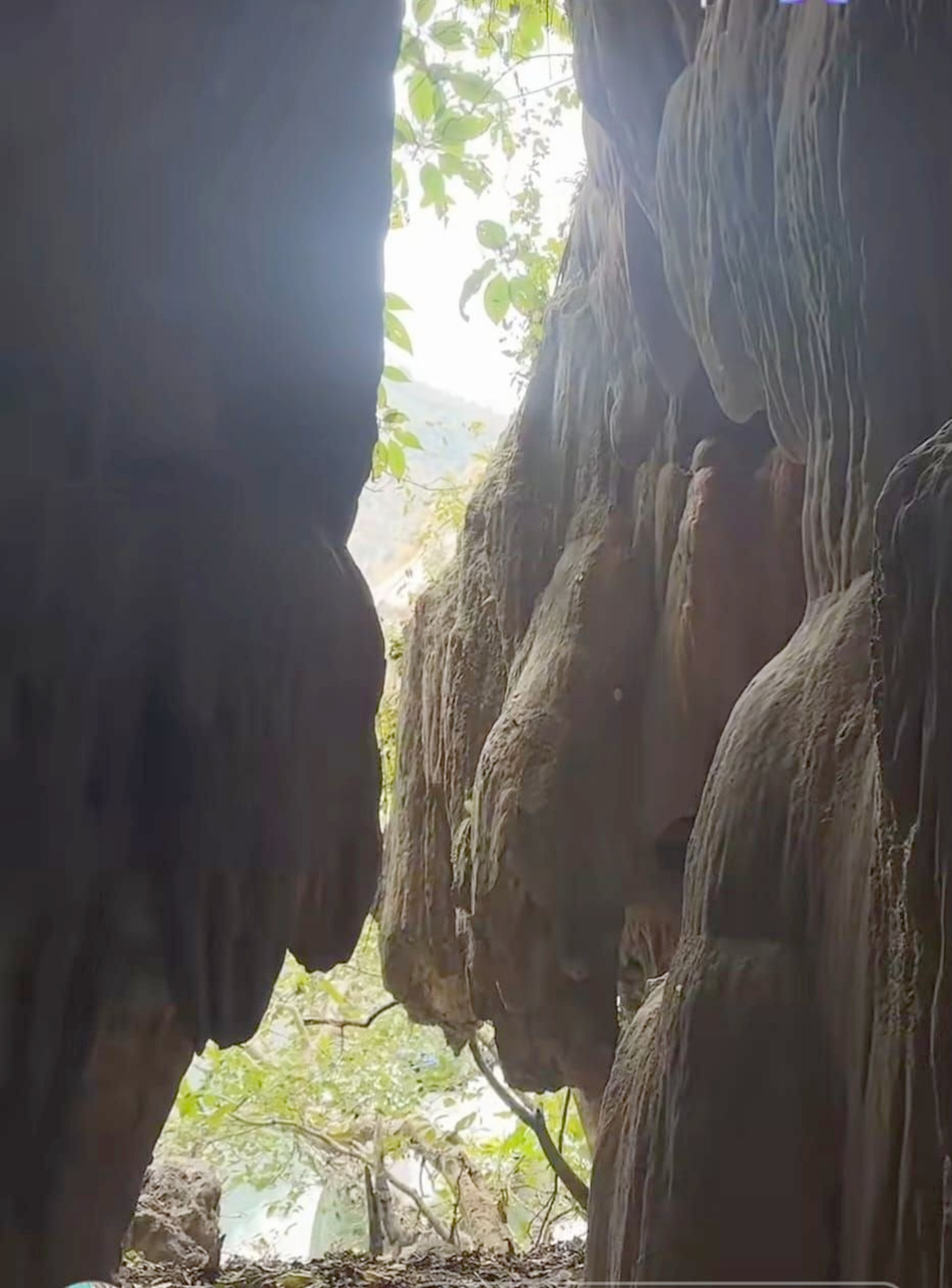 सरौर शिव गुफा पहुंचे प्रेम रैना। स्त्रोत- जागरूक पाठक सरौर शिव गुफा पहुंचे प्रेम रैना। स्त्रोत- जागरूक पाठक