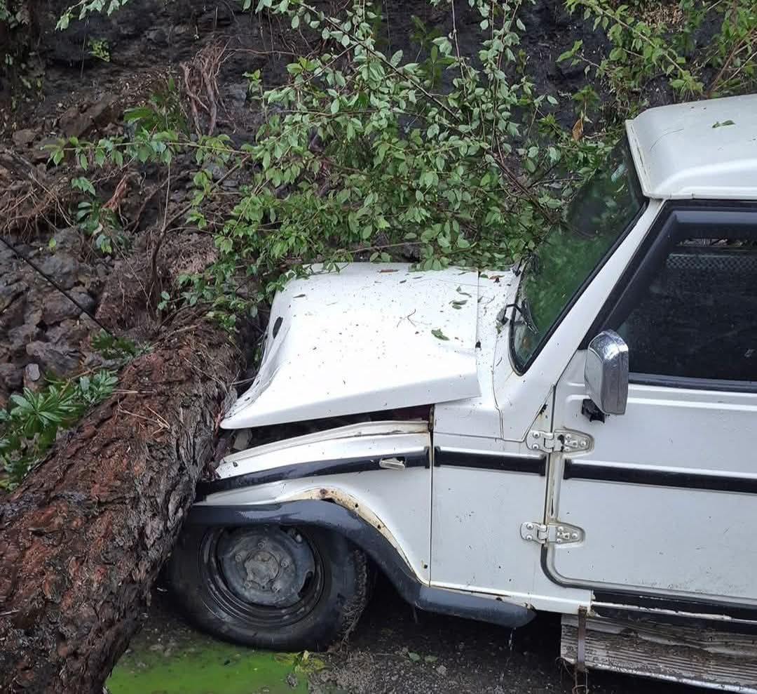 बर्फबारी में नौहराधार क्षेत्र का नजारा। संवाद