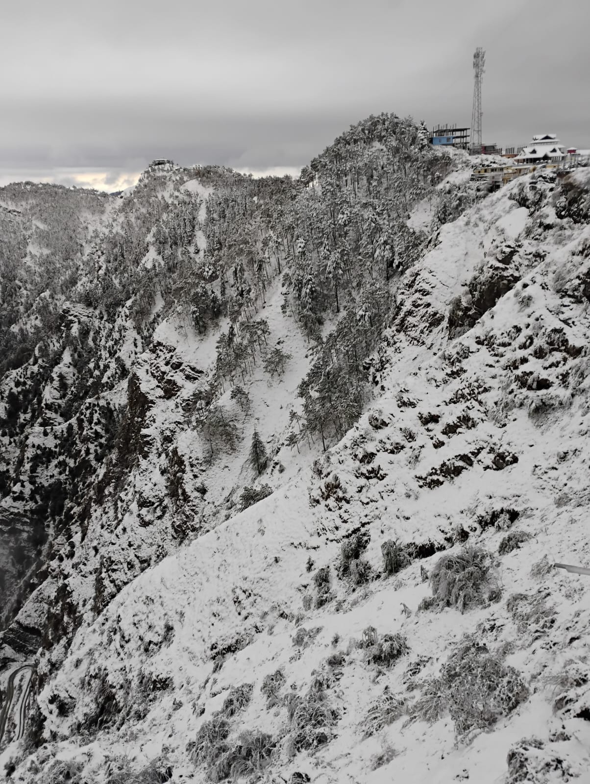 बर्फबारी में नौहराधार क्षेत्र का नजारा। संवाद