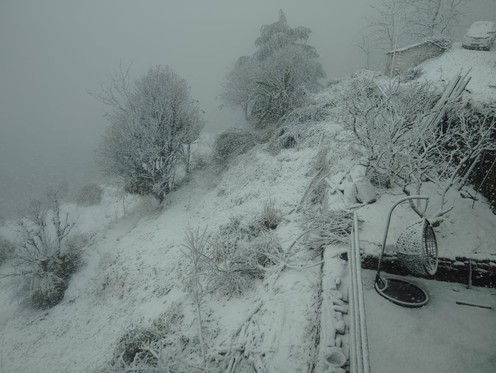 बर्फबारी में नौहराधार क्षेत्र का नजारा। संवाद