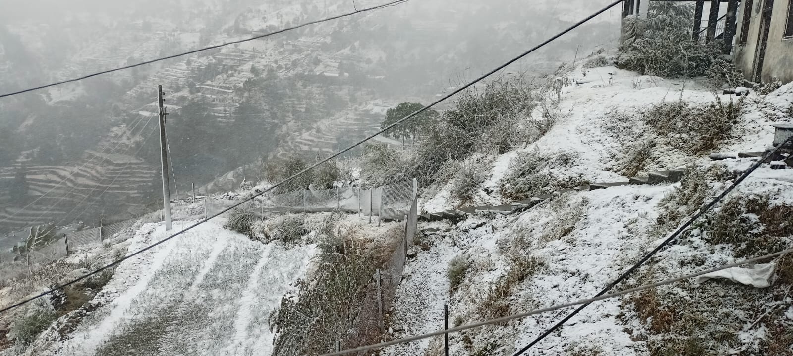 बर्फबारी में नौहराधार क्षेत्र का नजारा। संवाद