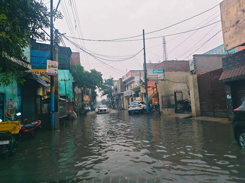 बसंत पंचमी पर हस्तिनापुर में हुई बारिश में छाता लगाकर जाता युवक ज्यादा स्रोत संवाद