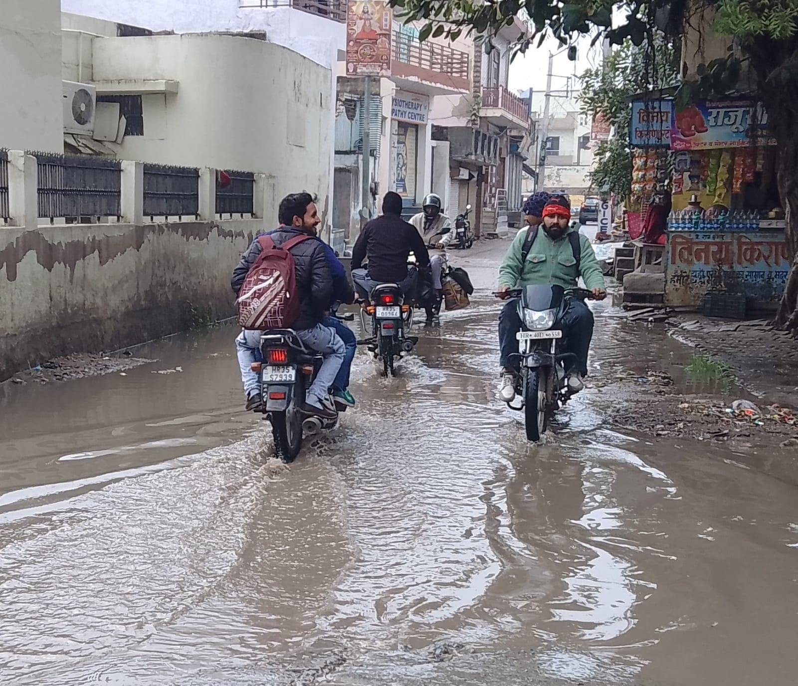 फोटो संख्या:60 गांव अगिहार में बारिश के बाद गेहूं की फसल। संवाद