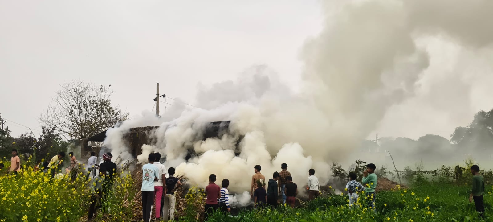फतेहाबाद के गांव उझावली में करब में लगी आग को बुझाते ग्रामीण फतेहाबाद के गांव उझावली में करब में लगी आग को बुझाते ग्रामीण