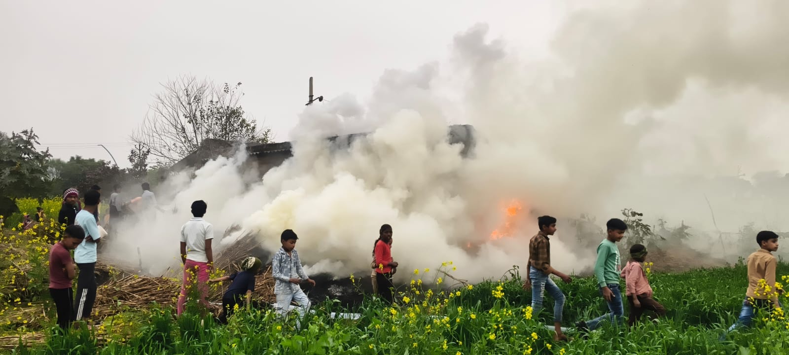 फतेहाबाद के गांव उझावली में करब में लगी आग को बुझाते ग्रामीण फतेहाबाद के गांव उझावली में करब में लगी आग को बुझाते ग्रामीण