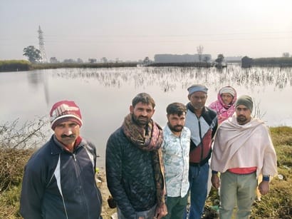 कलानौर व जिंदरान के खेतों में जलभराव। कलानौर व जिंदरान के खेतों में जलभराव।