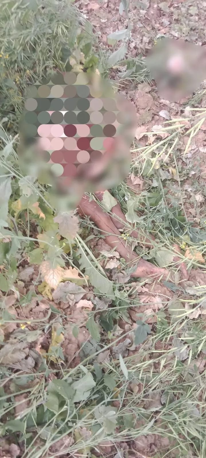 फोटो - 24 हादसे वाले स्थान पर मौजूद ग्रामीण व वन विभाग की टीम। स्त्रोत : ग्रामीण