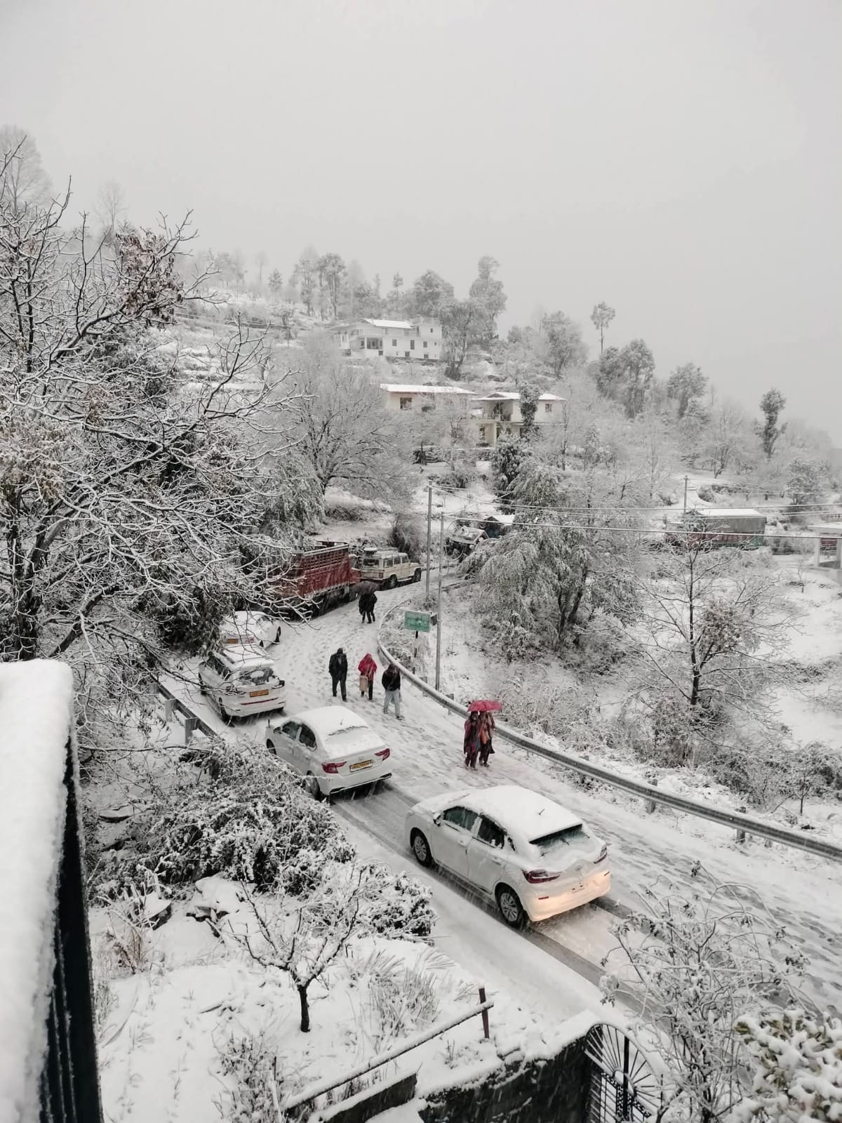 मुक्तेश्वर में बर्फबारी के बाद सेब के बगीचे बर्फ की चादरों से ढके हुए। संवाद