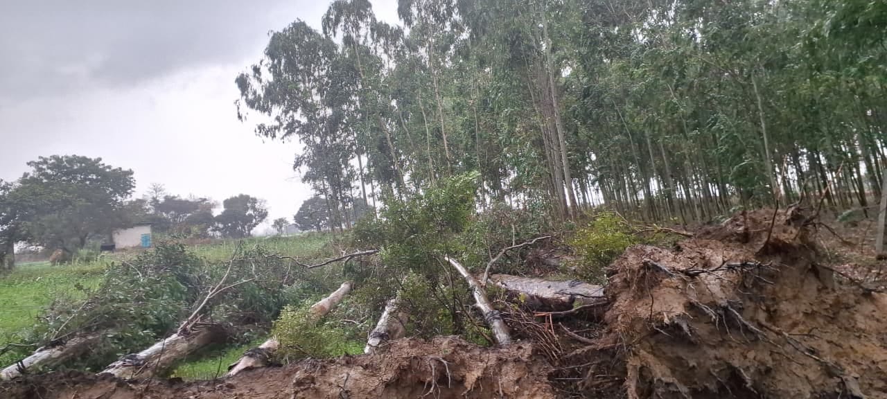 मटका चौक पर बारिश से बचने के लिए बरसाती पहनकर गुजरते वाहन चालक। संवाद