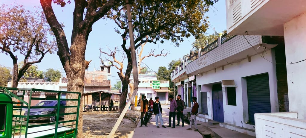 रोही में बीच से टूटा खंभा डाल के सहारे टिका हुआ है। संवाद रोही में बीच से टूटा खंभा डाल के सहारे टिका हुआ है। संवाद