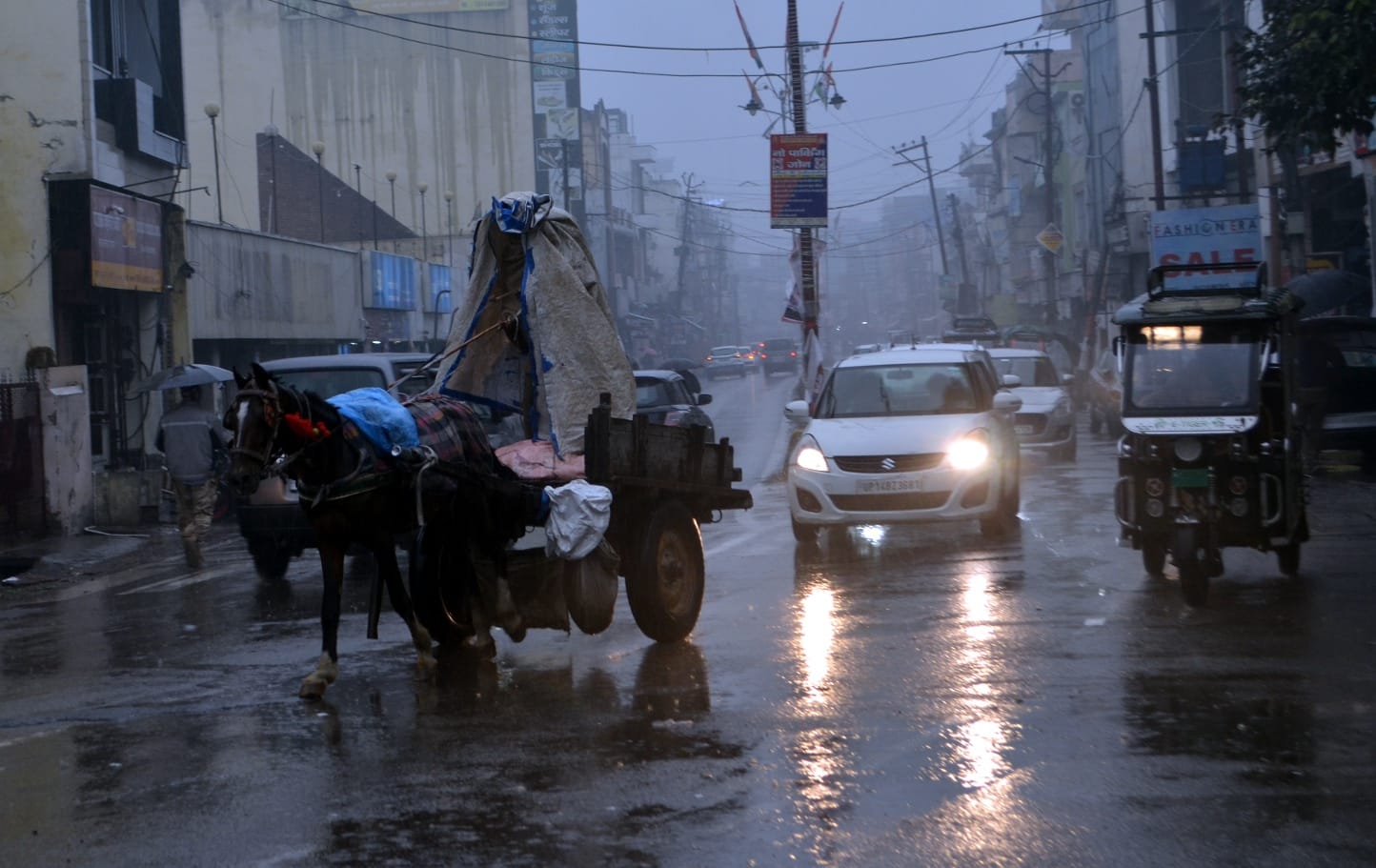 शामली में बरसात से गेंहू की फसल में हुआ जलभराव । संवाद