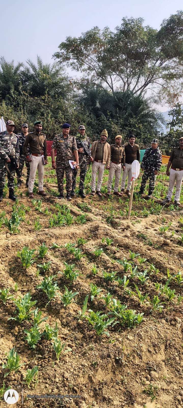 अफीम की खेती नष्ट करने वाली टीम