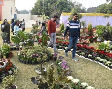 एनबीआरआई में खिले गुलाब, महके ग्लैडियोलस एनबीआरआई में खिले गुलाब, महके ग्लैडियोलस