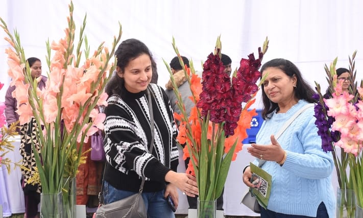एनबीआरआई में खिले गुलाब, महके ग्लैडियोलस एनबीआरआई में खिले गुलाब, महके ग्लैडियोलस