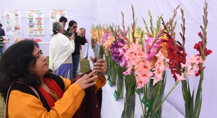 एनबीआरआई में खिले गुलाब, महके ग्लैडियोलस एनबीआरआई में खिले गुलाब, महके ग्लैडियोलस