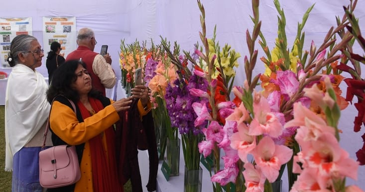 एनबीआरआई में खिले गुलाब, महके ग्लैडियोलस एनबीआरआई में खिले गुलाब, महके ग्लैडियोलस