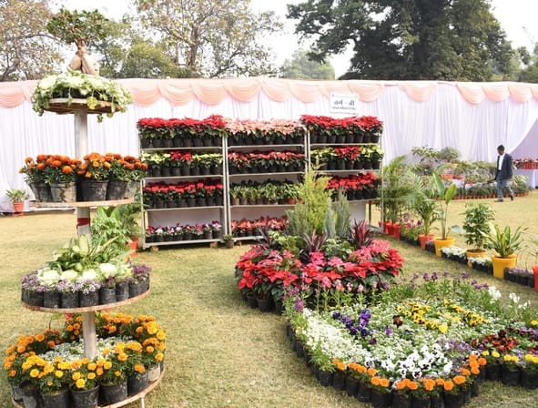 एनबीआरआई में खिले गुलाब, महके ग्लैडियोलस एनबीआरआई में खिले गुलाब, महके ग्लैडियोलस