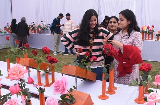 एनबीआरआई में खिले गुलाब, महके ग्लैडियोलस एनबीआरआई में खिले गुलाब, महके ग्लैडियोलस