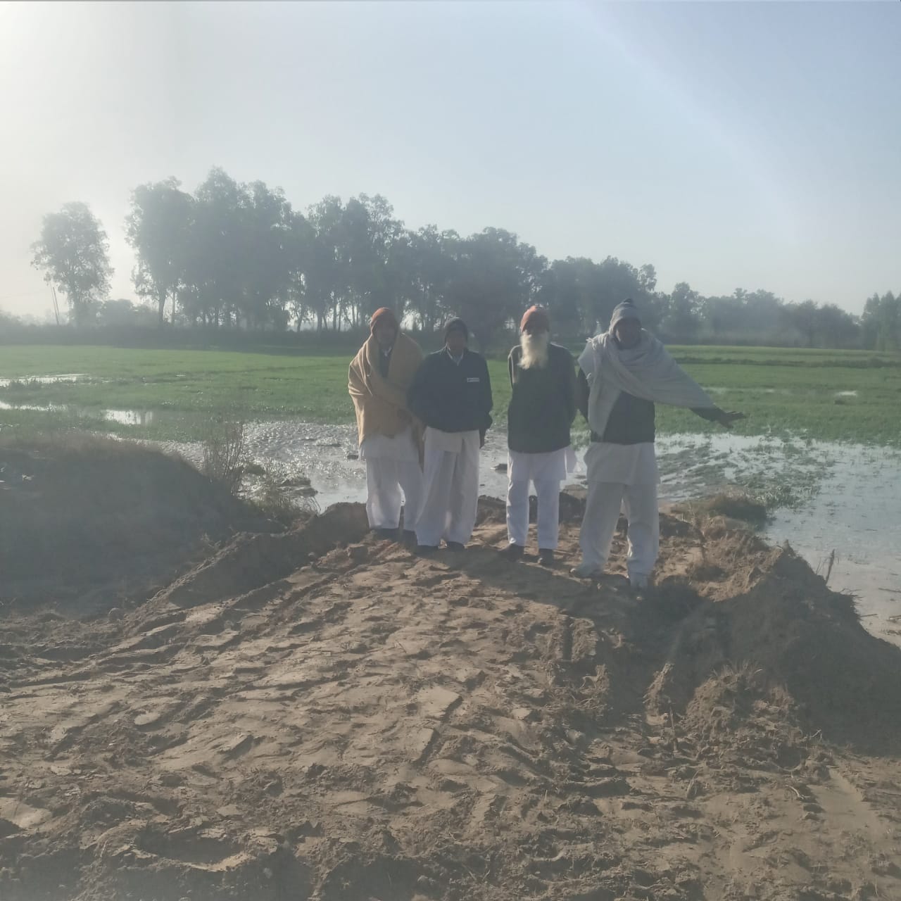 राेहतक के महम क्षेत्र के मुरादपुर टेकना गांव के खेतों में टूटा रजबहा। स्रोत : किसान