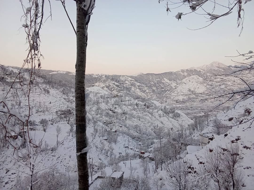 राजोरी के बुधल मे गिरी बर्फ के फोटो स्रोत स्थानीय लोग