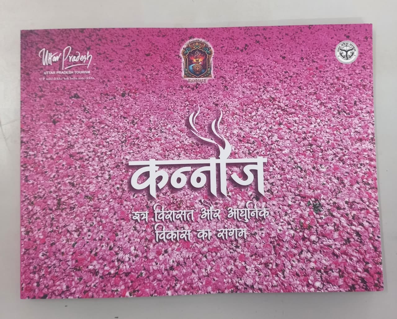 फोटो :14: डॉ. सुमन शुक्ला बाजपेयी। स्रोत : स्वयं फोटो :14: डॉ. सुमन शुक्ला बाजपेयी। स्रोत : स्वयं