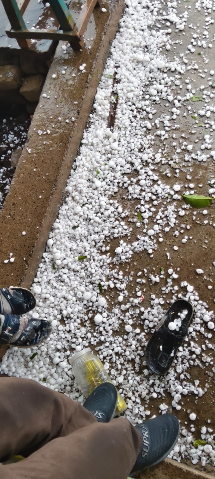 तेज बारिश के साथ हुई ओलावृष्टि।