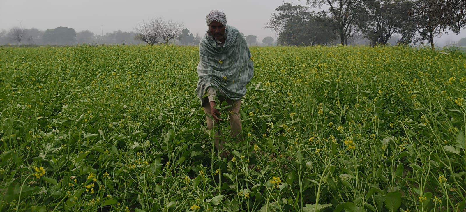 खेकड़ा में दिल्ली-सहारनपुर नेशनल हाईवे पर होती ओलावृष्टि। स्रोत:विडियोग्रैब खेकड़ा में दिल्ली-सहारनपुर नेशनल हाईवे पर होती ओलावृष्टि। स्रोत:विडियोग्रैब