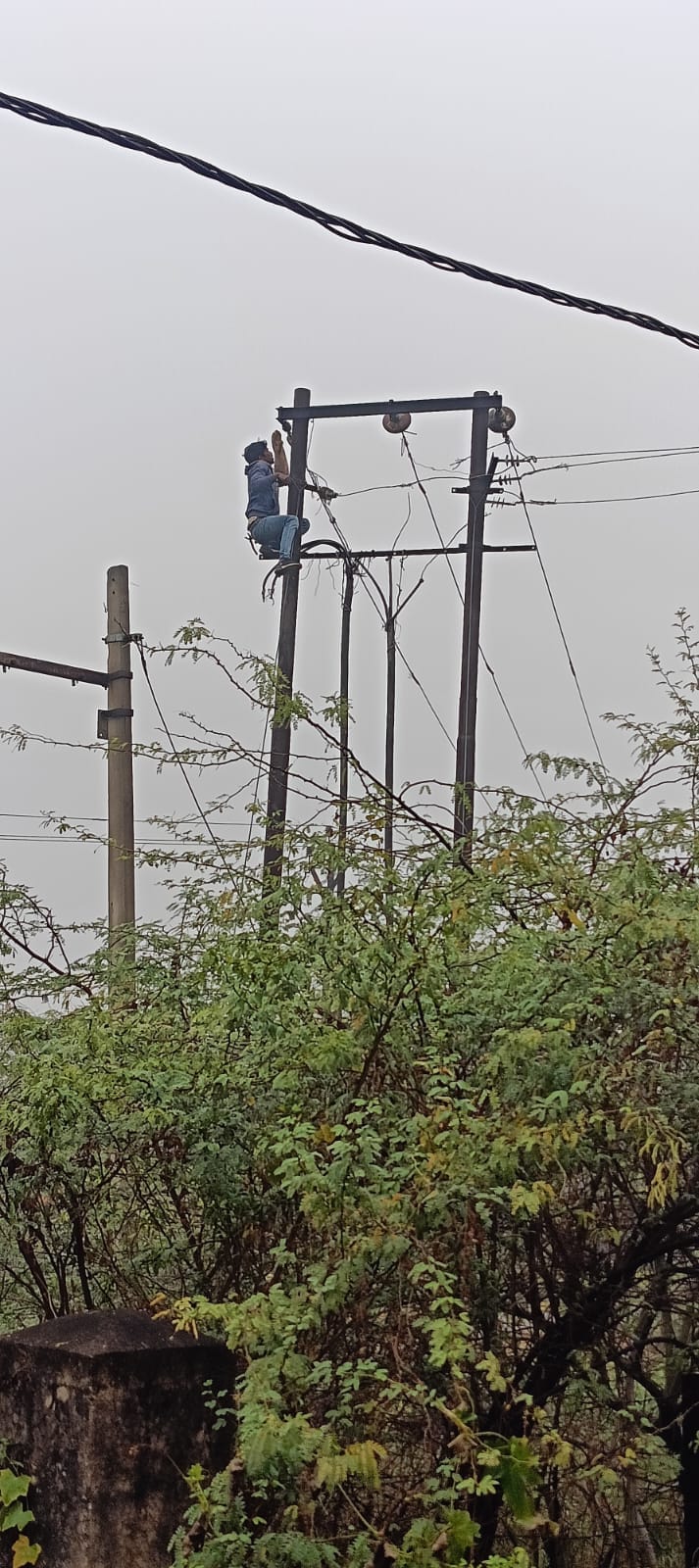 फोटो - 03 बारिश होने से खेत में लहलहाती गेहूं की फसल। संवाद फोटो - 03 बारिश होने से खेत में लहलहाती गेहूं की फसल। संवाद
