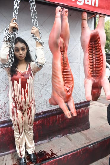 परिवर्तन चौक पर हुक में लटके जानवरों के प्रतीकात्मक शव के साथ शाकाहार को अपनाने का संदेश दिया परिवर्तन चौक पर हुक में लटके जानवरों के प्रतीकात्मक शव के साथ शाकाहार को अपनाने का संदेश दिया