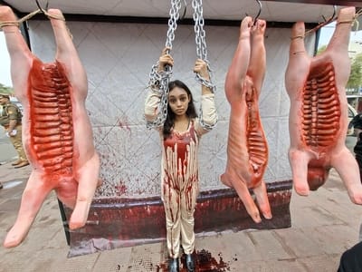 परिवर्तन चौक पर हुक में लटके जानवरों के प्रतीकात्मक शव के साथ शाकाहार को अपनाने का संदेश दिया परिवर्तन चौक पर हुक में लटके जानवरों के प्रतीकात्मक शव के साथ शाकाहार को अपनाने का संदेश दिया
