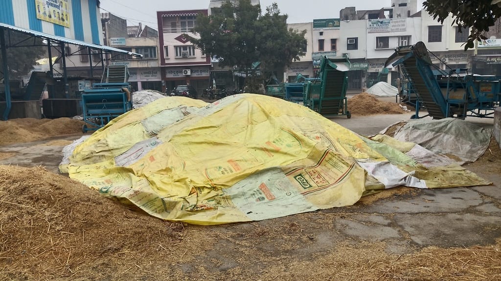 फतेहाबाद की पुरानी अनाज मंडी में शैड के नीचे खड़ी अनाज झर्राई की मशीनें। संवाद