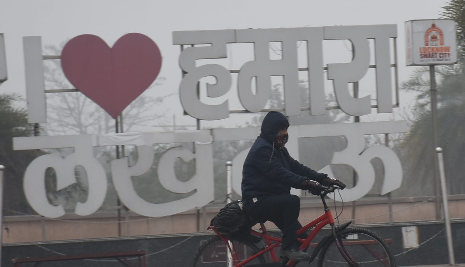 राजधानी में शनिवार सर्द रहा। सुबह घने कोहरे की चादर छाई रही। 