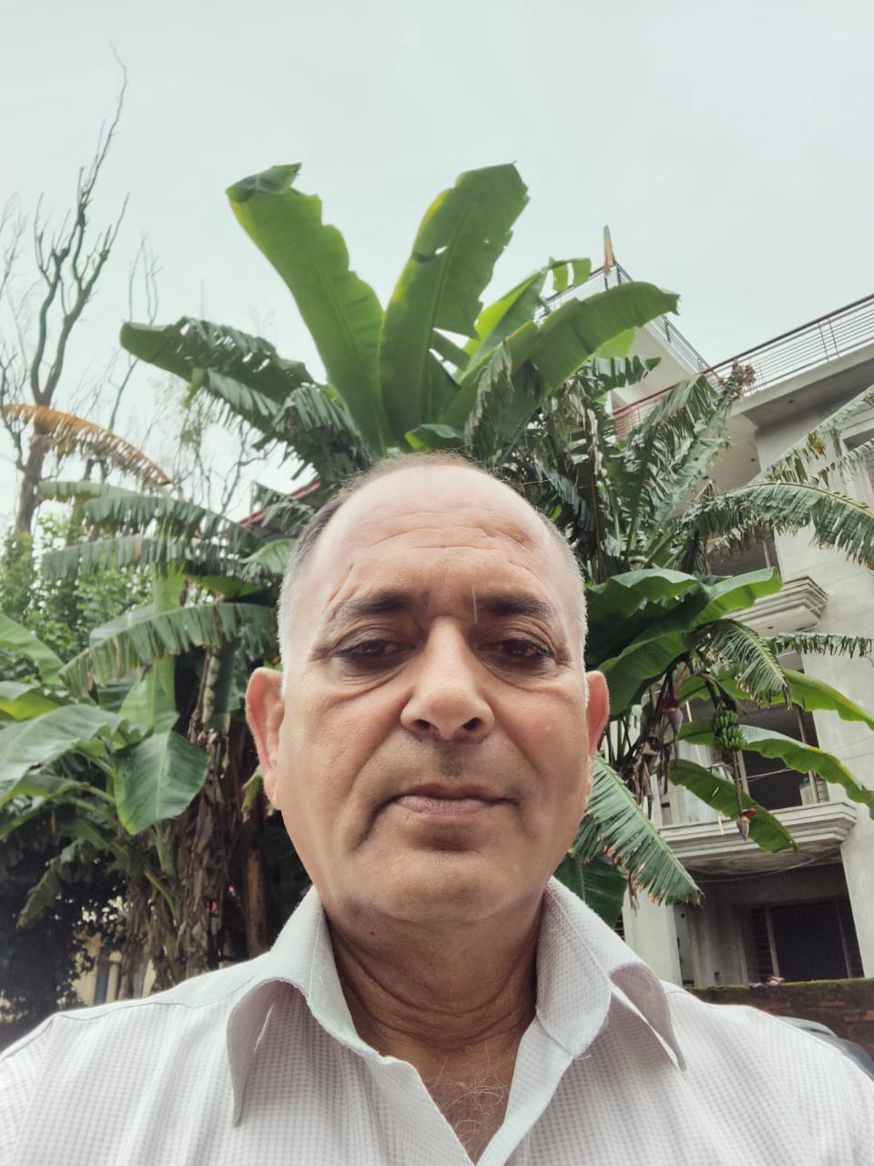 सुशीला