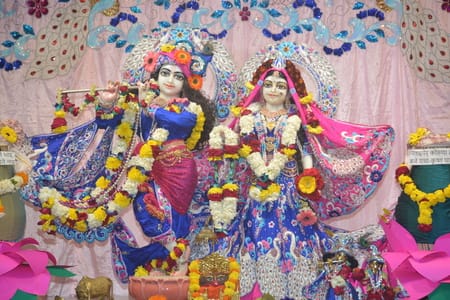धूमधाम से मनाया नित्यानंद त्रयोदशी महोत्सव धूमधाम से मनाया नित्यानंद त्रयोदशी महोत्सव