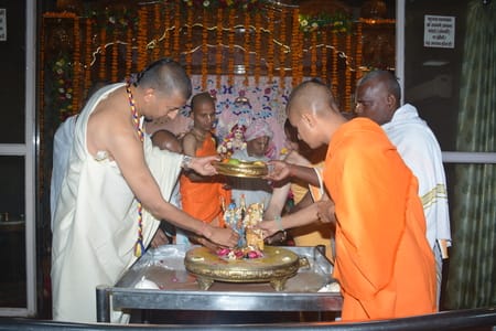 धूमधाम से मनाया नित्यानंद त्रयोदशी महोत्सव धूमधाम से मनाया नित्यानंद त्रयोदशी महोत्सव