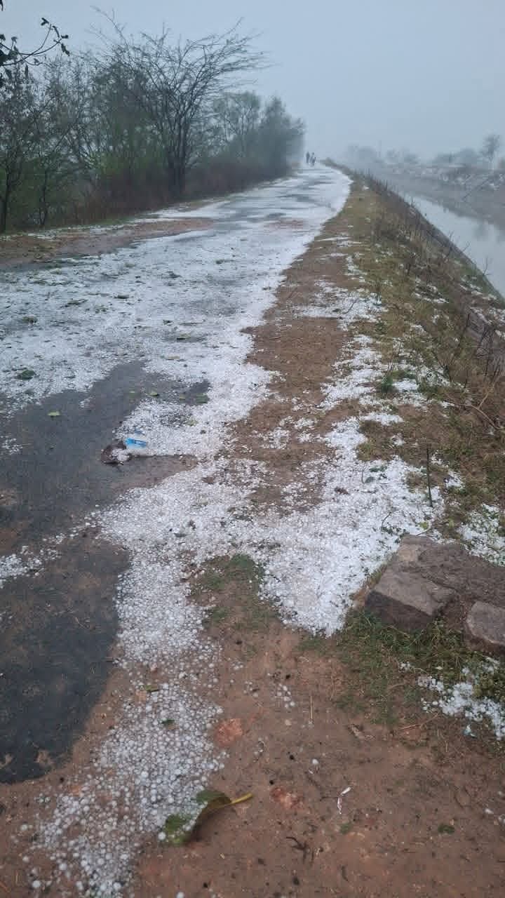 भीषण ओलावृष्टि से एक दर्जन से अधिक गांव में गेहूं की फसल में भारी नुकसान