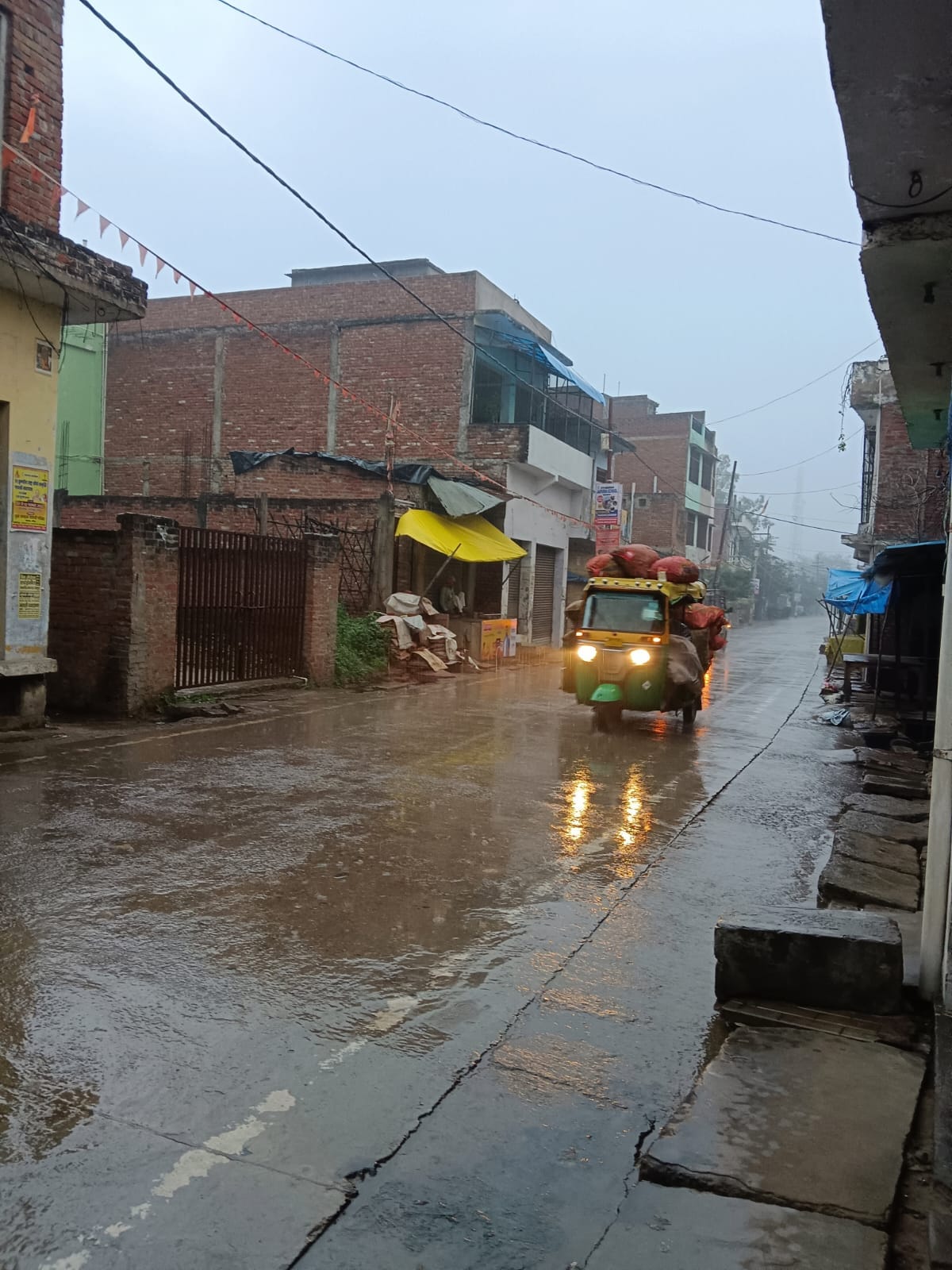 फोटो-21-पककर तैयार खड़ी सरसों हवा और बारिश से खेतों में बिछ गई। संवाद