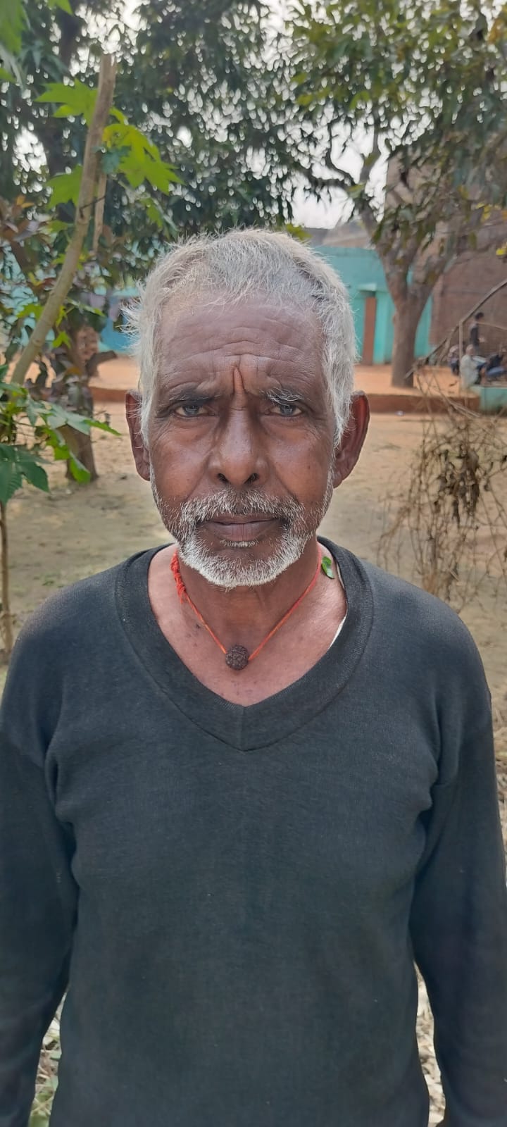 फोटो-21-पककर तैयार खड़ी सरसों हवा और बारिश से खेतों में बिछ गई। संवाद