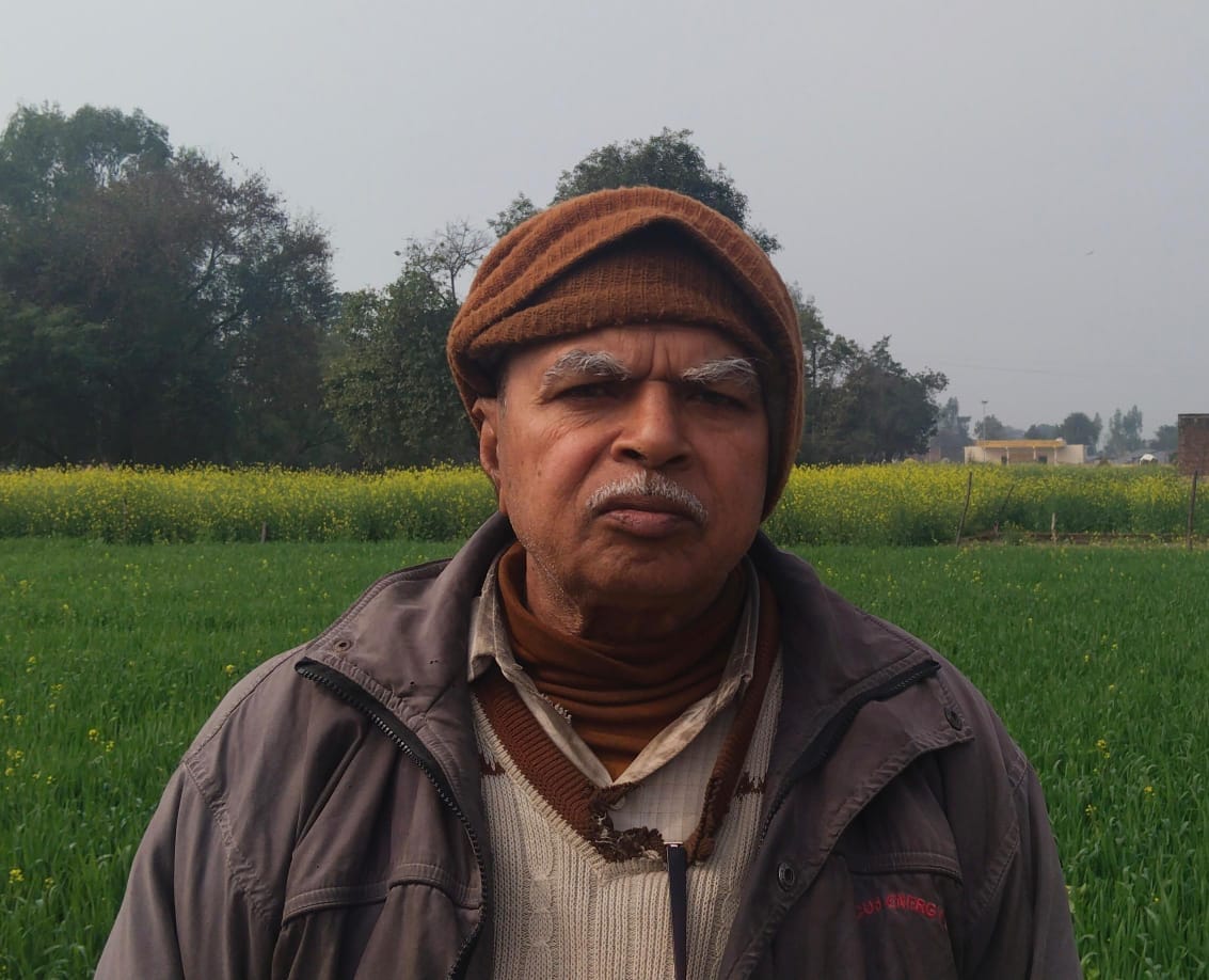 फोटो-21-पककर तैयार खड़ी सरसों हवा और बारिश से खेतों में बिछ गई। संवाद