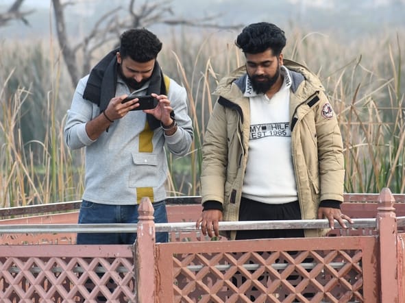 सीजी सिटी स्थित वेटलैंड में प्रवासियों का कलरव। सीजी सिटी स्थित वेटलैंड में प्रवासियों का कलरव।