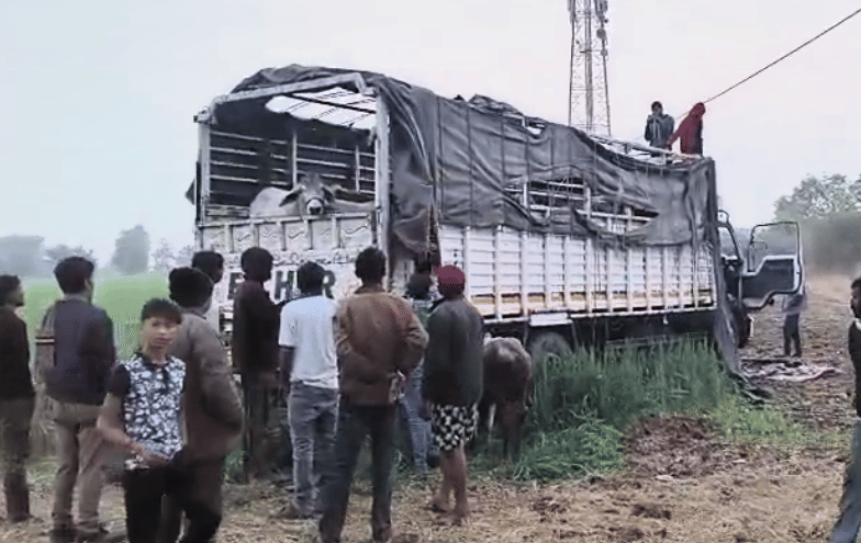 खेत में पहुंचा वाहन 