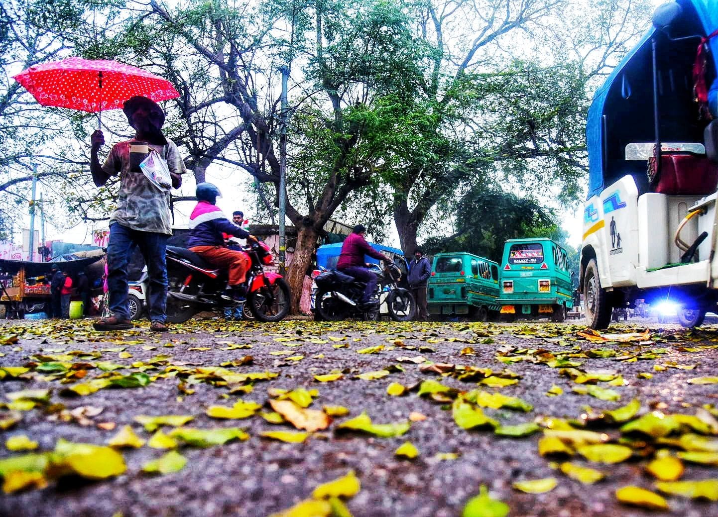 मंगलवार की सुबह हुई बारिश के नजारे और खुद को बचाते लोग। मंगलवार की सुबह हुई बारिश के नजारे और खुद को बचाते लोग।