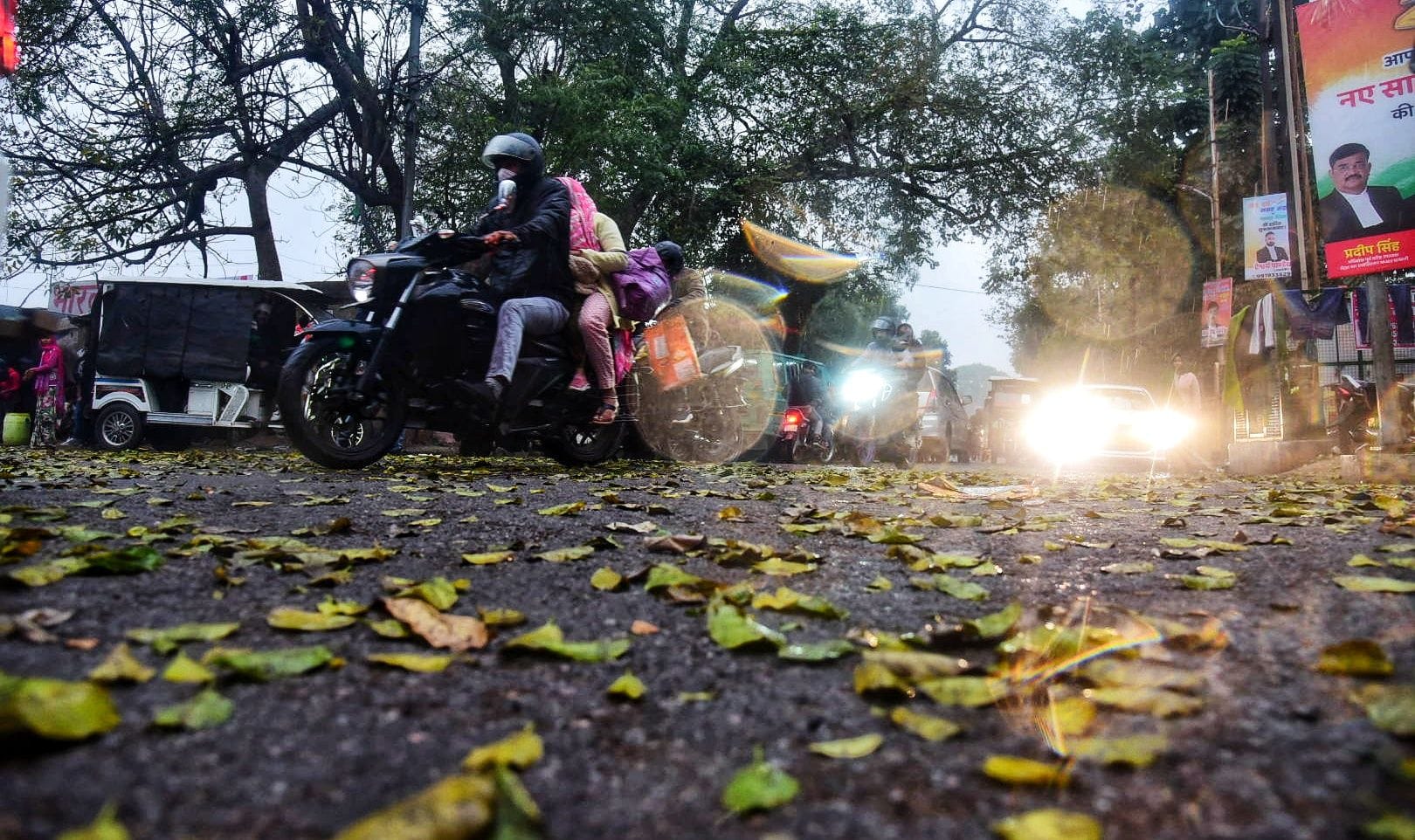 मंगलवार की सुबह हुई बारिश के नजारे और खुद को बचाते लोग। मंगलवार की सुबह हुई बारिश के नजारे और खुद को बचाते लोग।