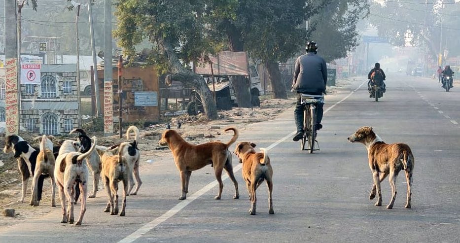 सरसवां पीएचसी में कुत्ते के हमले से जख्मी बच्चे को वैक्सीन लगाते फार्मासिस्ट। स्रोत : विभाग सरसवां पीएचसी में कुत्ते के हमले से जख्मी बच्चे को वैक्सीन लगाते फार्मासिस्ट। स्रोत : विभाग